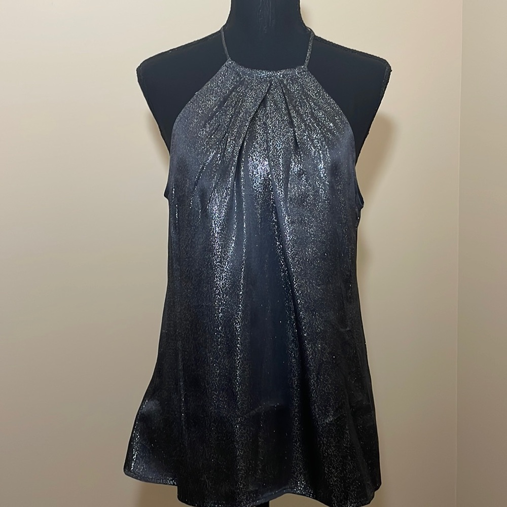 Ann Taylor Sparkly Blouse